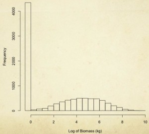 Fig. 2. Areas with ‘biomass’ and ‘zero biomass’