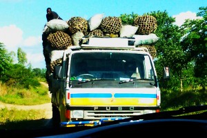 Fig. 1. An example of deforestation of woodlands for charcoal production.