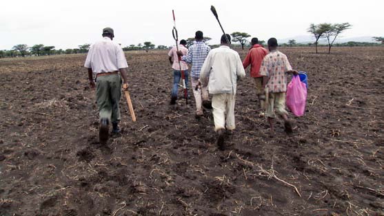 EthioSIS has trained soil surveyors to use AfSIS survey methods, and the surveyors have visited sample sites around the country. Photo credit: Agriculture Transformation Agency, Ethiopia