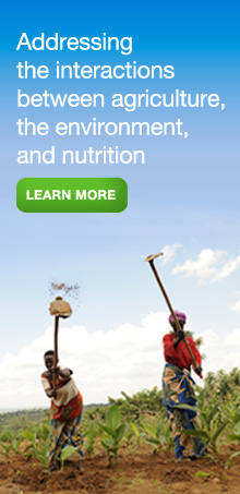 Addressing the interactions between agriculture, the environment, and nutrition